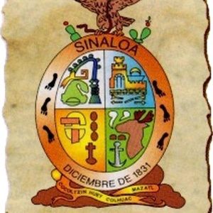 Meet your Posher, Jesus